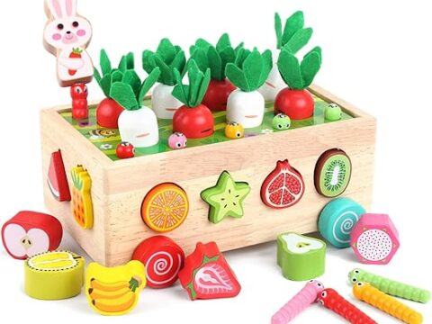 Toddlers Montessori Wooden Educational Toys for Baby Boys Girls Age 1 2 3 Year Old, Shape Sorting Toys 1st One First Birthday Girl Gifts for Kids 1-3, Wood Preschool Learning Fine Motor Skills Game