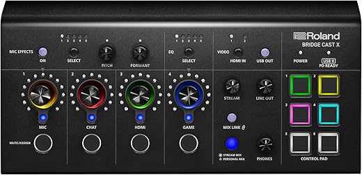 Roland BRIDGE CAST X Dual Bus Gaming Mixer & Video Capture | Pro Audio Streaming Interface for Online Gamers & More | 32-Bit Hardware DSP | USB-C Windows and Mac Connectivity | XLR Mic Support